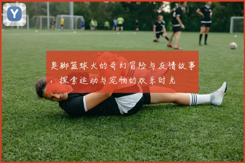 臭脚篮球犬的奇幻冒险与友情故事，探索运动与宠物的欢乐时光