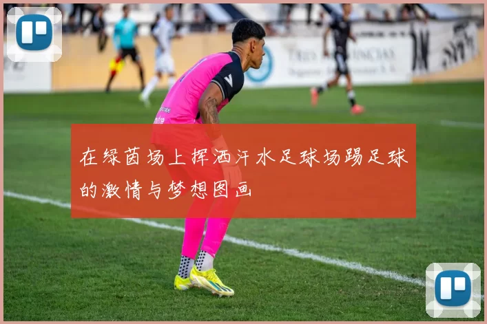 在绿茵场上挥洒汗水足球场踢足球的激情与梦想图画