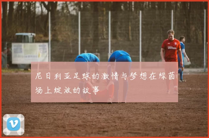 尼日利亚足球的激情与梦想在绿茵场上绽放的故事