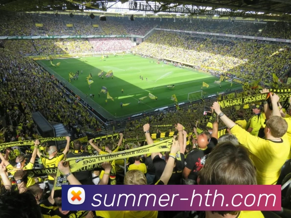 在绿茵场上挥洒汗水足球场踢足球的激情与梦想图画